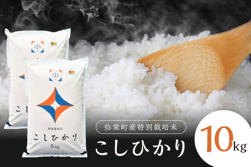 【令和6年産】弥栄町産特別栽培米「秘境奥島根弥栄」こしひかり10kg＜10月上旬発送予定＞ 米 お米 特別栽培米 こしひかり 10キロ 精米 白米 ごはん 新生活 応援 準備 【521】 1284989 - 島根県浜田市