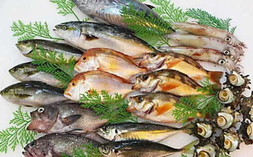 山陰浜田港水揚げ季節の鮮魚セット 魚介類 魚貝類 魚 鮮魚 季節の魚 旬の魚 セット 詰め合わせ 下処理済み 【096_0591】 1284993 - 島根県浜田市