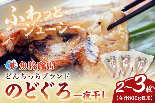 大きな「のどぐろ一夜干し（2～3枚）」 魚介類 魚貝類 魚 のどぐろ 干物 干もの 一夜干し のどぐろ一夜干し 【136_1995】 1285019 - 島根県浜田市