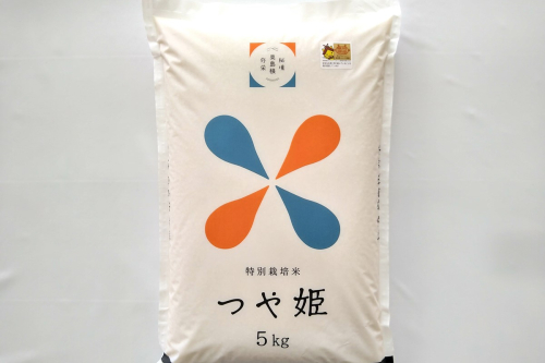 浜田市弥栄町産の美味しいお米「秘境奥島根弥栄」つや姫５割減（５ｋｇ）【090_1920】 1285030 - 島根県浜田市