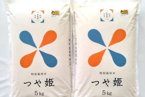 【令和８年産】浜田市弥栄町産の美味しいお米「秘境奥島根弥栄」つや姫５割減（１０ｋｇ） 米 コメ つや姫 10キロ 【090_1927】 1285031 - 島根県浜田市