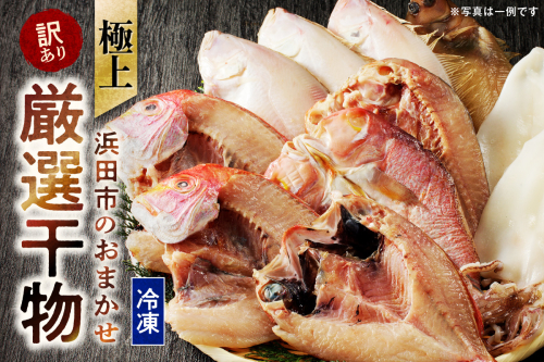 極上!!干物屋推薦 厳選干物 訳あり商品が入ってます!! 魚介類 セット 干物 乾物 ふるさと納税 訳あり 海の幸 魚介類 魚貝類 干物 一夜干し 干物セット【033_1776】 1285035 - 島根県浜田市
