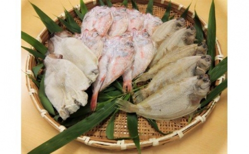 豪華盛り合わせ日本海の美味しい魚づくし【1059】 1285039 - 島根県浜田市