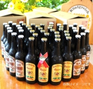 0130-35-01　富士山の水を使った地ビール　バイエルンマイスタービール　４８本セット