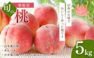 家庭用 旬の桃(品種おまかせ) 5㎏ 長野県産