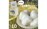 0018-18-02　【無洗米】白糸産コシヒカリ　2合（300g）×10個