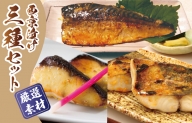 厳選素材 西京漬け 3種食べ比べセット（さば／さわら／ぶり） 030D164
