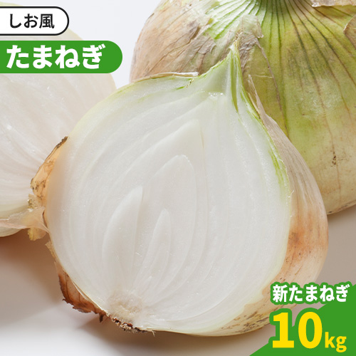 ★岡山県エリア・ランキング1位★【2025年先行予約】 しお風新たまねぎ 約10kg 2025年発送 先行予約《5月下旬-6月上旬頃出荷(土日祝除く)》 玉ねぎ 新たまねぎ 玉葱 たまねぎ 新玉 野菜 青果物 岡山県 笠岡市 ランキング 1位 1286722 - 岡山県笠岡市