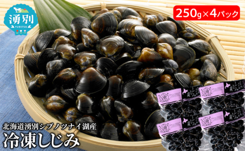 北海道湧別シブノツナイ湖産  冷凍しじみ250g×4パック シジミ 貝  128681 - 北海道湧別町