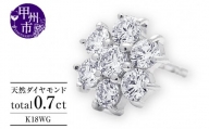 ピアス 天然 ダイヤモンド 0.7ct パヴェ スタッド フラワー ダブルロックキャッチ SIクラス【K18WG】P-149（KRP）M66-1411