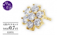 ピアス 天然 ダイヤモンド 0.7ct パヴェ スタッド フラワー ダブルロックキャッチ SIクラス【K18YG】P-149（KRP）M66-1411
