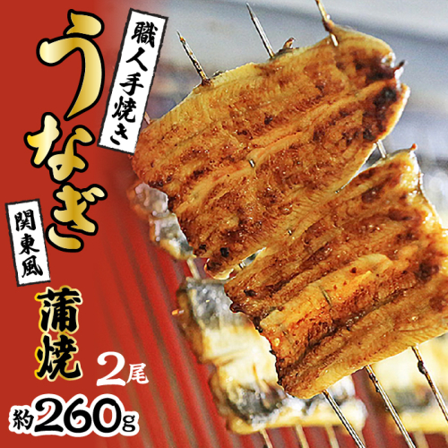 数量限定！！国産うなぎ　職人手焼き蒲焼2尾(約260g) SWAW001 1287524 - 山梨県昭和町