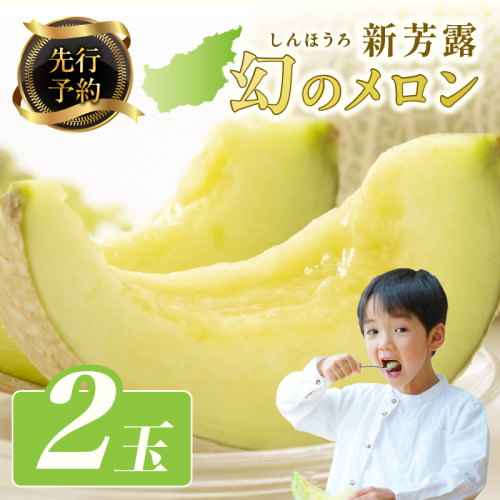 【先行予約】幻のメロン 新芳露 2玉（2026年7月下旬～発送）
 1287531 - 京都府京丹後市