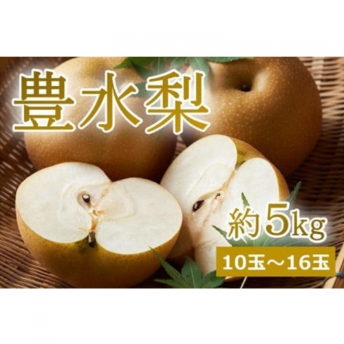 【先行予約】樹上完熟 豊水梨 5kg（10～16個）（2024年9月上旬～発送）
 1287537 - 京都府京丹後市
