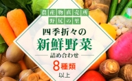 四季折々の新鮮野菜詰め合わせ 旬をお届け! 【8種類以上】 ANAR007