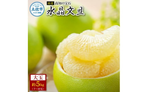 ＜厳選＞高知の宝石、水晶文旦５kg 先行予約 期間限定 水晶文旦 文旦 ブンタン ぶんたん ５キロ 柑橘 みかん フルーツ 果物 高知 名物 箱入り ギフト 1287659 - 高知県土佐市