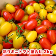 (01809)彩りミニトマト詰め合わせ