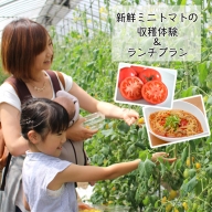 (01812)新鮮ミニトマトの収穫体験＆ランチプラン