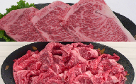 おおいた和牛サーロインステーキ＆切り落とし 計1600g  牛肉 お肉 ＜154-018_6＞