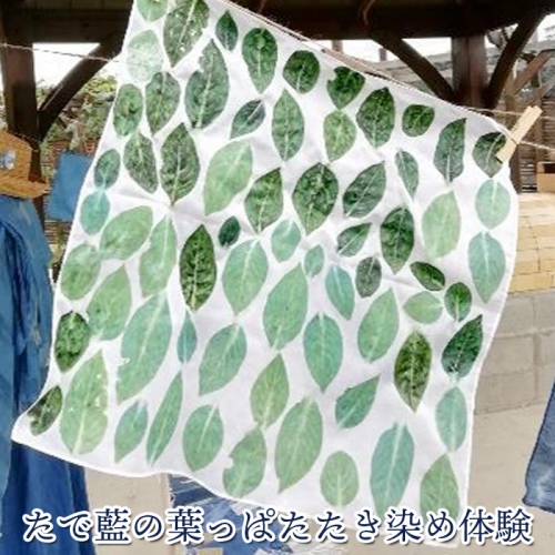 (06903)たで藍の葉っぱたたき染め体験 128840 - 宮城県大崎市