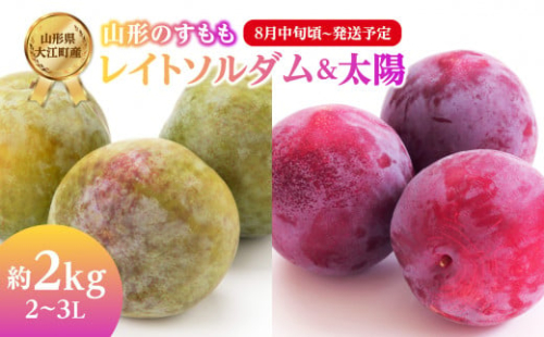 《先行受付》すもも「レイトソルダム」「太陽」約2kg 2～3L【2026年8月中旬頃～発送予定】【山形プラム・大江町産】 【001-078】 1288495 - 山形県大江町