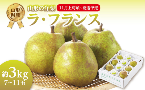《先行受付》ラ・フランス 約3kg （7～11玉） 【2025年11月上旬頃～発送予定】【山形洋梨】 【001-081】 1288498 - 山形県大江町