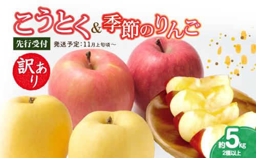 《先行受付》訳ありこうとく＆季節のりんご詰合せ約5kg 2種以上【2026年11月上旬～発送予定】【大江町産・山形りんご・りんご専科 清野】 015-062 1288563 - 山形県大江町