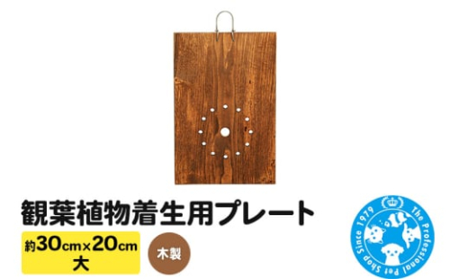 観葉植物着生用プレート 木製 大(約30×20cm) 1枚 コウモリラン ビカクシダ 1289298 - 群馬県邑楽町