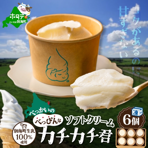 北海道 別海町産 生乳 100% で作った ソフトクリーム カチカチ君 6個 セット【GT0000001】 1289348 - 北海道別海町