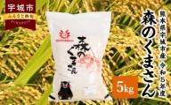 米 精米 精白米 令和5年産 森のくまさん 5kg 【 宇城彩館 ( JA 熊本うき ) 】