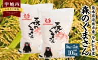 米 精米 精白米 令和5年産 森のくまさん 10kg (5kg×2袋) 【 宇城彩館 ( JA 熊本うき ) 】