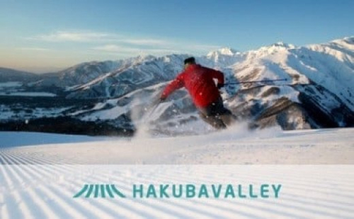 HAKUBA VALLEY 10スキー場共通1日券（2枚） 12893 - 長野県小谷村