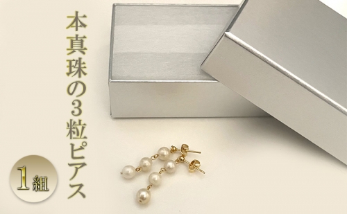 本真珠の３粒ピアス 1289755 - 静岡県菊川市