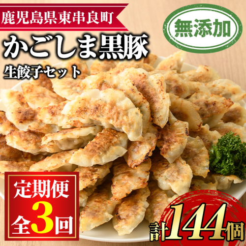 【0365103b】＜定期便・全3回＞鹿児島黒豚生餃子48個セット(12個入×4パック×3回・計144個) 黒豚 豚肉 ぶた肉 餃子 ギョウザ ぎょうざ 惣菜【鹿児島ますや】 1289886 - 鹿児島県東串良町