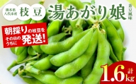 熊本県八代市産枝豆 [湯あがり娘（茶豆風味）] 1.6kg
