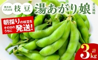 熊本県八代市産枝豆 [湯あがり娘（茶豆風味）] 3kg