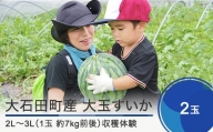 大石田町産 すいか 大玉 2L～3L×2玉 収穫体験 8月3日・4日収穫 2024年産 令和6年産 スイカ so-onsux2