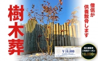 樹木葬散骨ご利用クーポン10,000円 SK03403