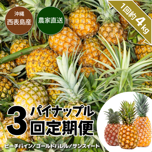 【2026年5月～7月（全3回発送）】南国の美味しさを！パイナップル 定期便 B 1290393 - 沖縄県竹富町