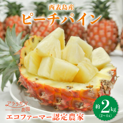 アララガマ農園発祥のピーチパイン。香り高く女性人気NO.1！国内流通量1％未満、幻の完熟ピーチパイン　ピーチパイン2kg（2～4玉） 1290423 - 沖縄県竹富町