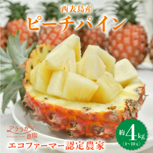 アララガマ農園発祥のピーチパイン。香り高く女性人気NO.1！国内流通量1％未満、幻の完熟ピーチパイン　ピーチパイン4kg（4～10玉） 1290425 - 沖縄県竹富町