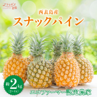 知名度NO.1！糖度が高く真っ黄色な新感覚パイン☆　ちぎって食べるスナックパイン2kg（2～4玉）