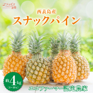 知名度NO.1！糖度が高く真っ黄色な新感覚パイン☆　ちぎって食べるスナックパイン4kg（4～10玉）