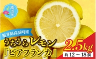 【先行予約】日本海で育ったうちうらレモン「ビアフランカ2.5kg」皮まで丸ごと食べられます！【1月初旬より順次発送】