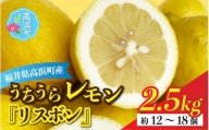 【先行予約】日本海で育ったうちうらレモン「リスボン2.5kg」皮まで丸ごと食べられます！（農薬不使用）【12月下旬より順次発送】