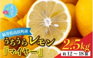 【先行予約】日本海で育ったうちうらレモン「マイヤー2.5kg」皮まで丸ごと食べられます！【11月中旬より順次発送】