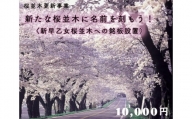 クラウドファンディング　新たな桜並木に名前を刻もう！〈新早乙女桜並木への銘板設置〉10,000円