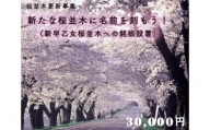 クラウドファンディング　新たな桜並木に名前を刻もう！〈新早乙女桜並木への銘板設置〉30,000円