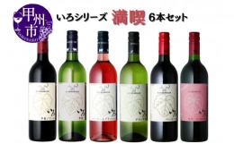 【ふるさと納税】〜まるき葡萄酒〜いろシリーズ満喫6本セット（MG）E-620