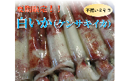 1533 【魚倉】不揃い 白いか(ケンサキイカ) 2kgセット！
